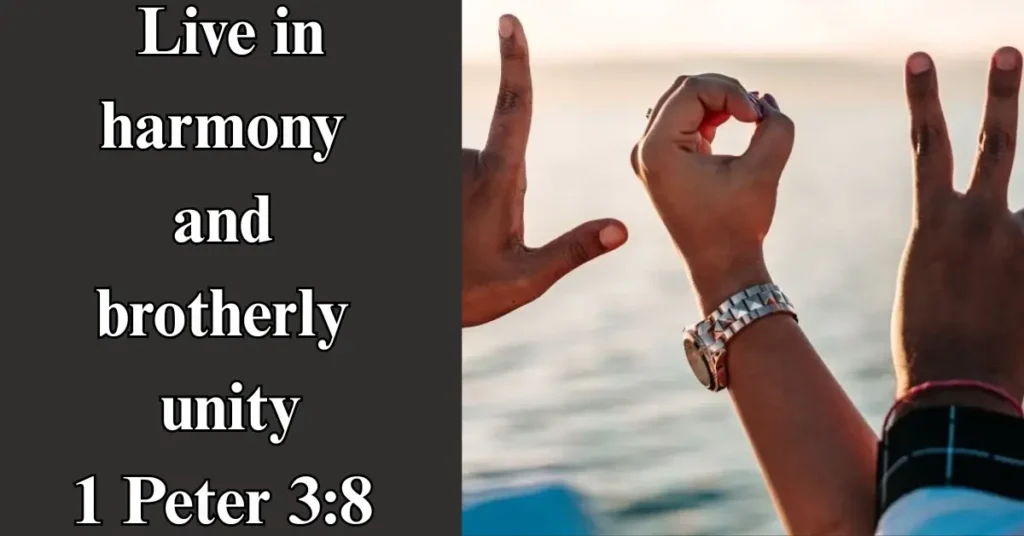 1 Peter 3:8 – Live in harmony and brotherly unity