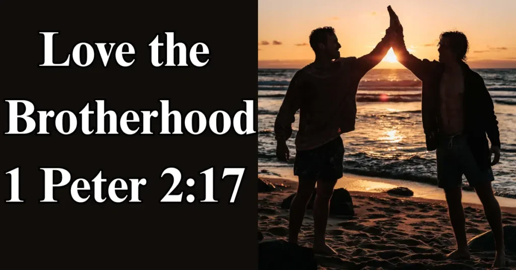 1 Peter 2:17 – Love the brotherhood