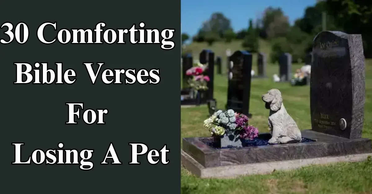 30 Bible Verses for Losing a Pet [Comfort & Healing]