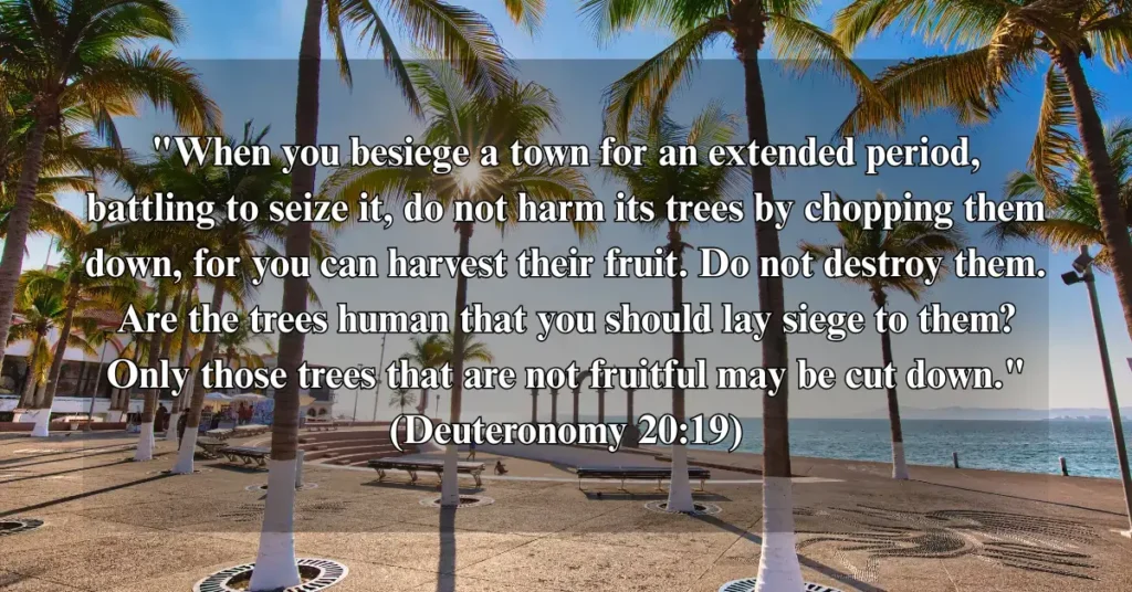 22. Deuteronomy 20:19-20 – The Tree’s Provision