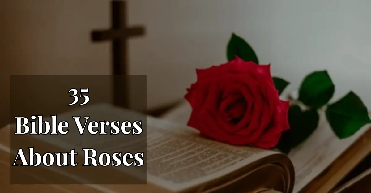 35 Bible Verses About Roses [Love, Faith & Eternal Beauty]