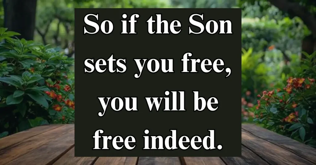 John 8:36