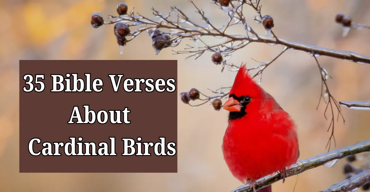 Bible Verses About Cardinal Birds [Symbolism & Meaning]