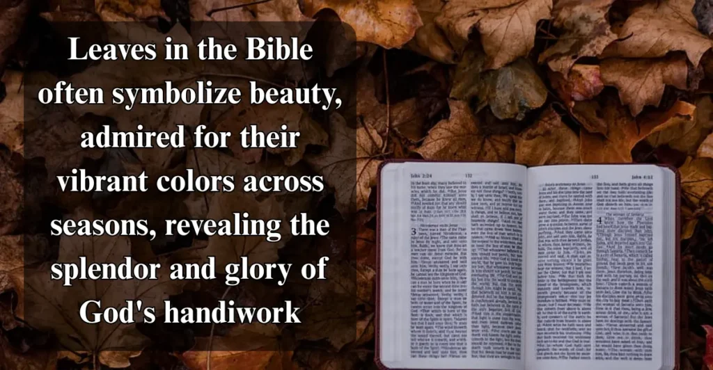 Leaves as a Sign of Beauty