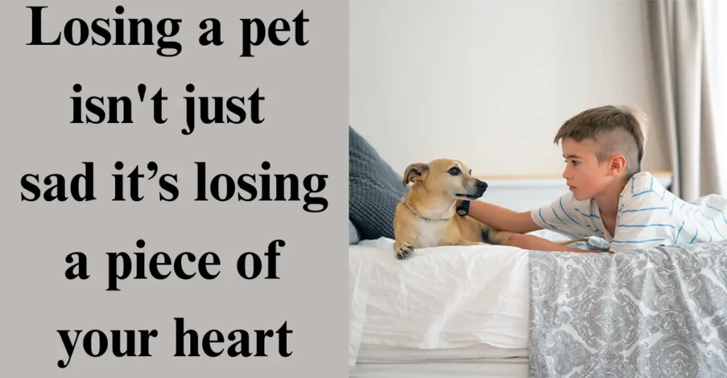 How to Comfort Someone Who Lost a Pet Over Text/Message