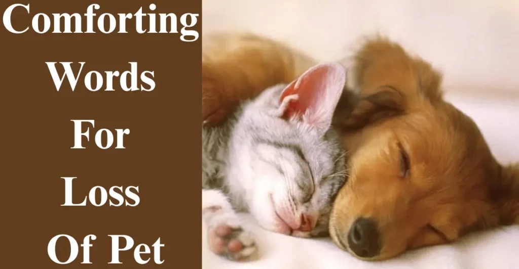 Comforting Words For Loss Of Pet