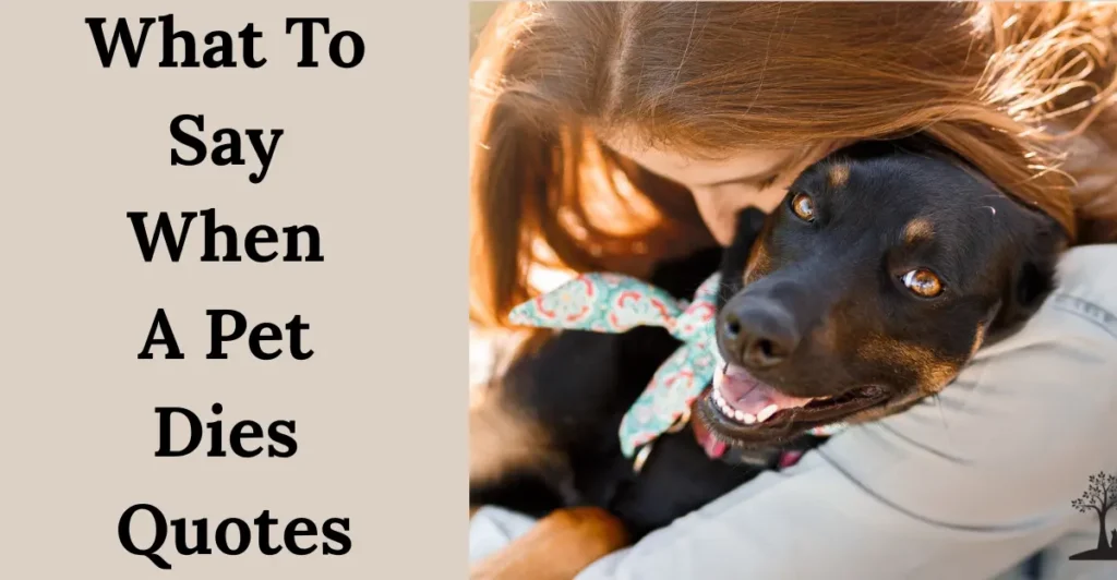 What To Say When A Pet Dies Quotes