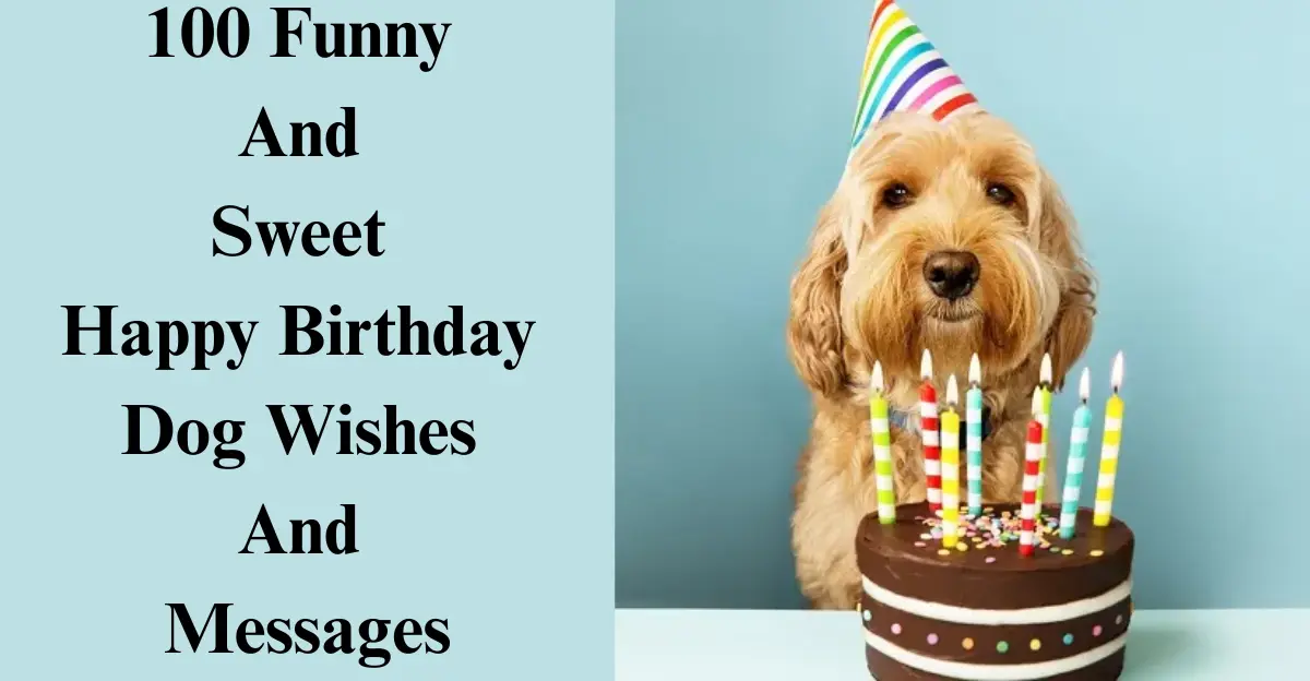 100 Funny & Sweet Happy Birthday Dog Wishes [Love & Laughter]