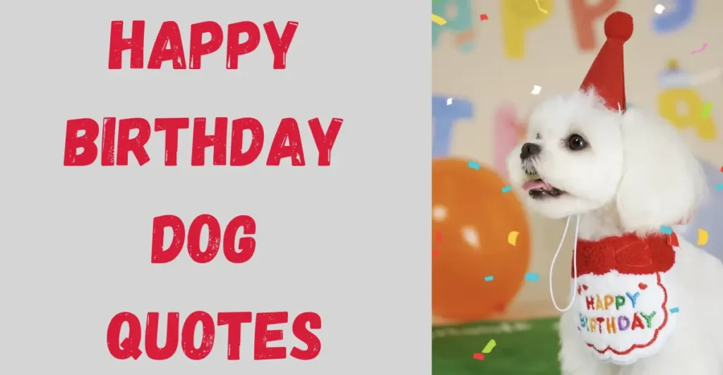 Happy Birthday Dog Quotes