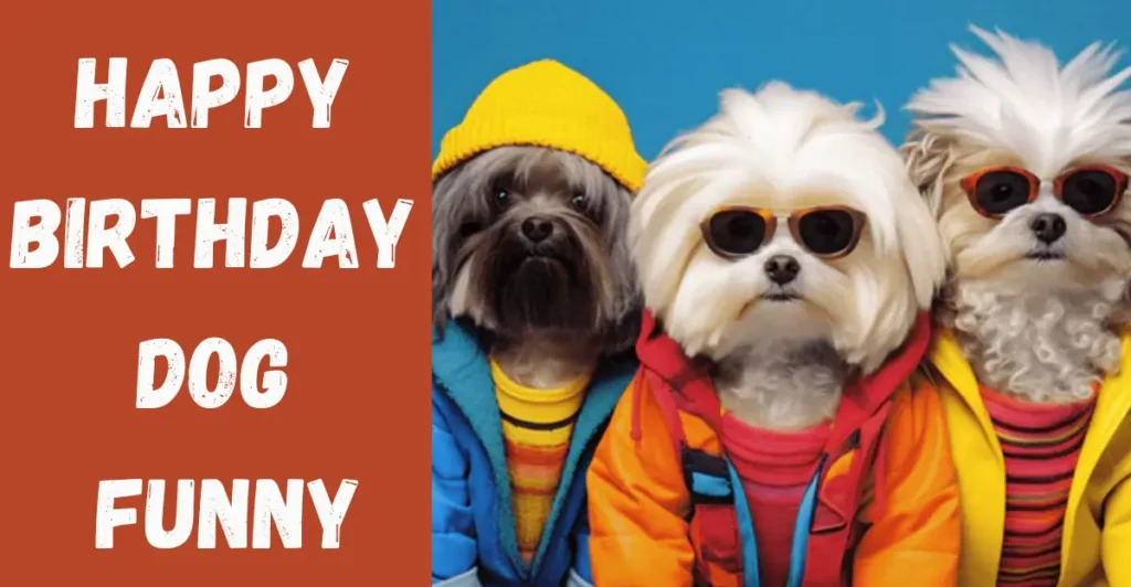 Happy Birthday Dog Funny