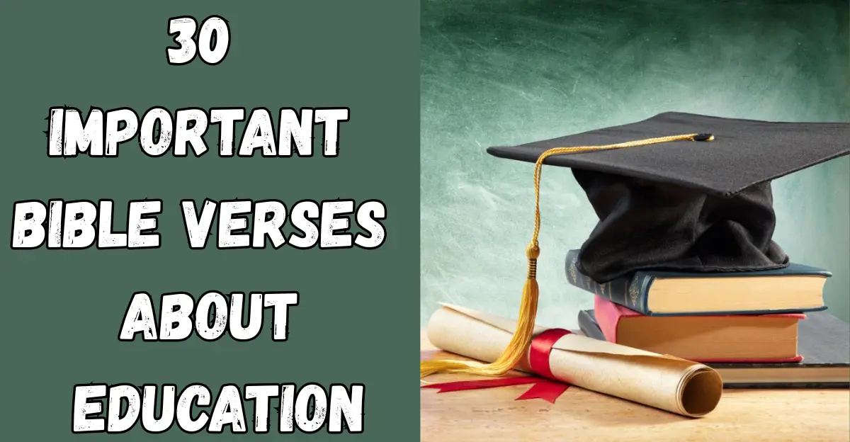30 Important Bible Verses About Education [Wisdom & Success]