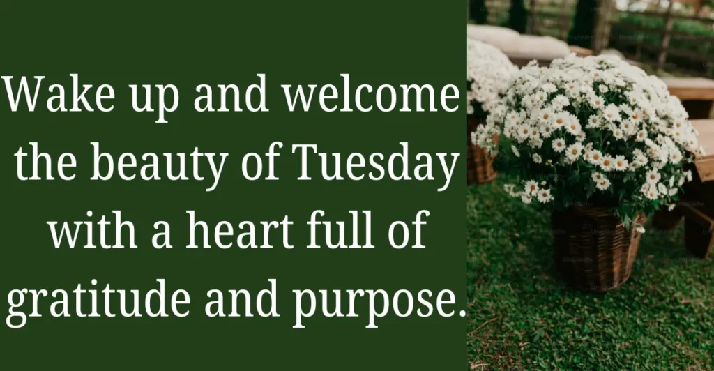 100+ Amazing Good Morning Tuesday Blessings