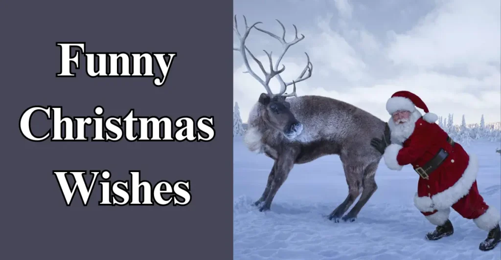 Funny Christmas Wishes