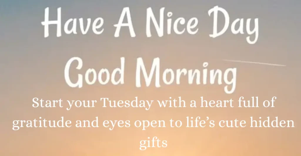 120+ Tuesday Blessings for a Wonderful Day – Cute Images