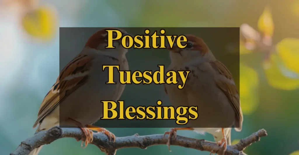 Positive Tuesday Blessings