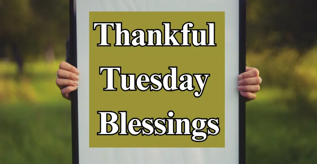 Thankful Tuesday Blessings
