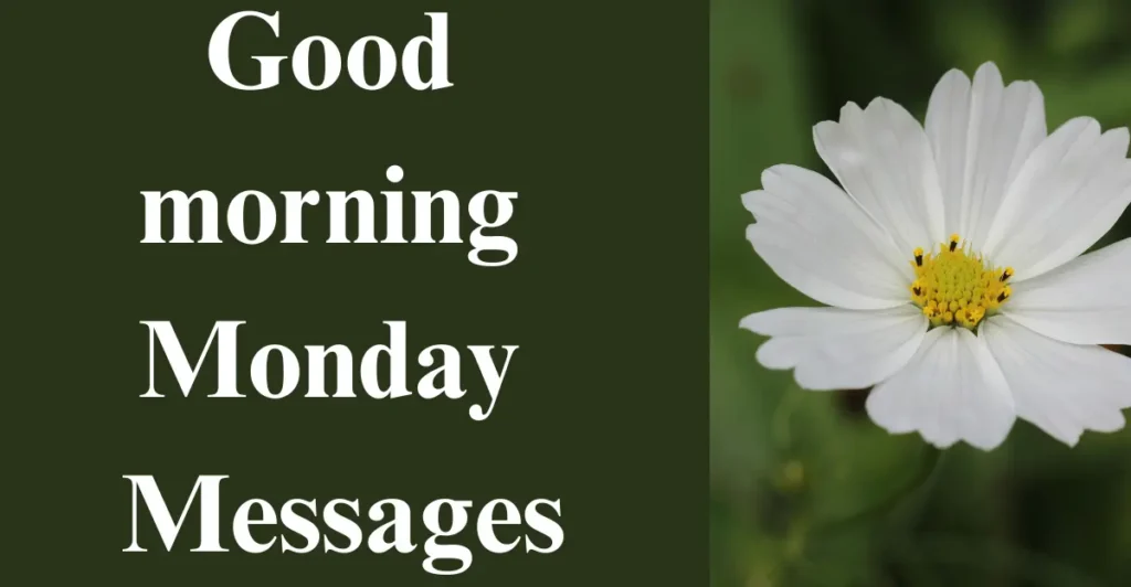 Good morning Monday Messages