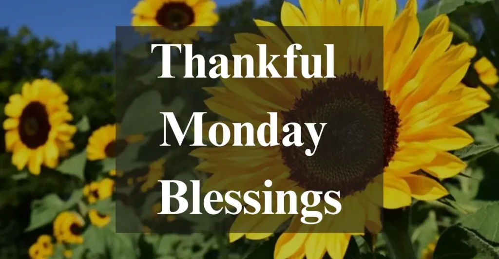 Thankful Monday Blessings