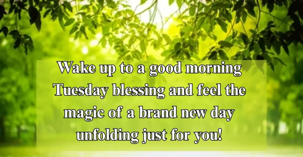 80+ Positive, Inspirational Good morning Tuesday Blessings