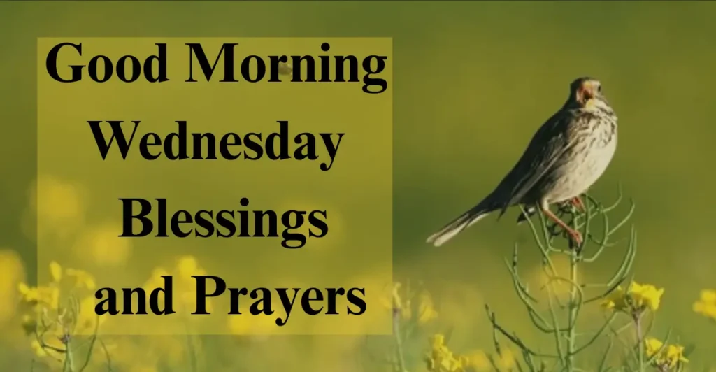 Good Morning Wednesday Blessings and Prayers
