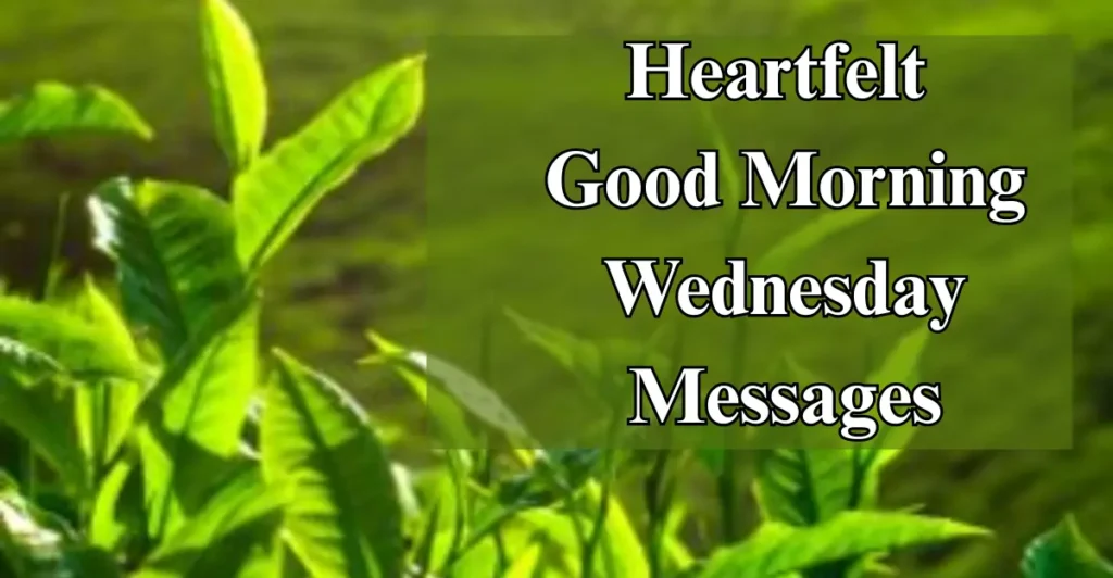Heartfelt Good Morning Wednesday Messages
