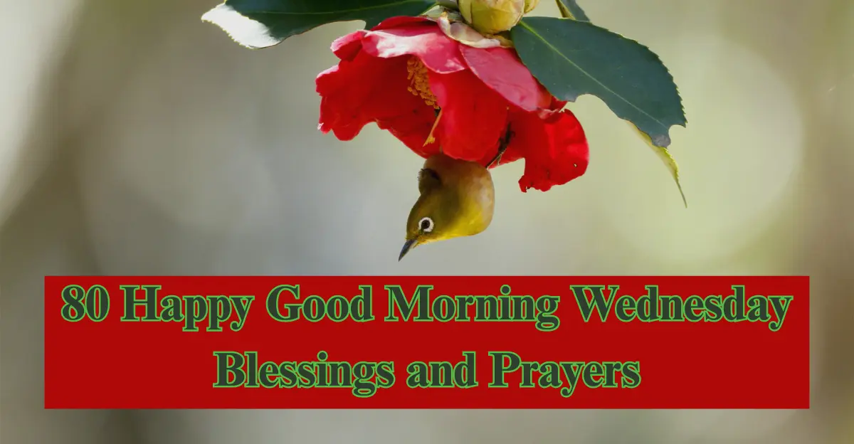 80 Happy Good Morning Wednesday Blessings [Uplifting Prayers]