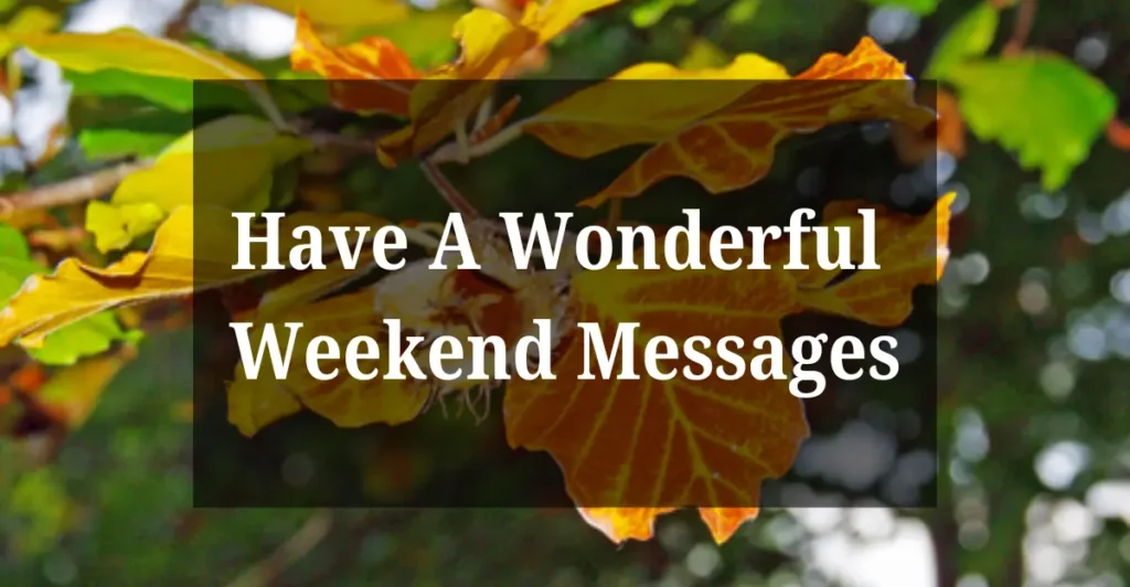 Have A Wonderful Weekend Messages