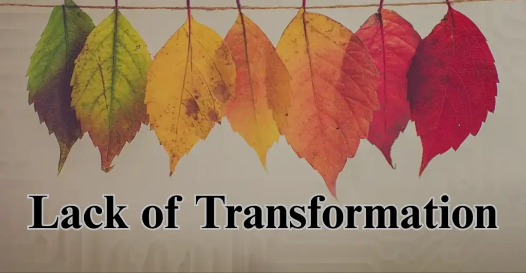 8. Lack of Transformation: