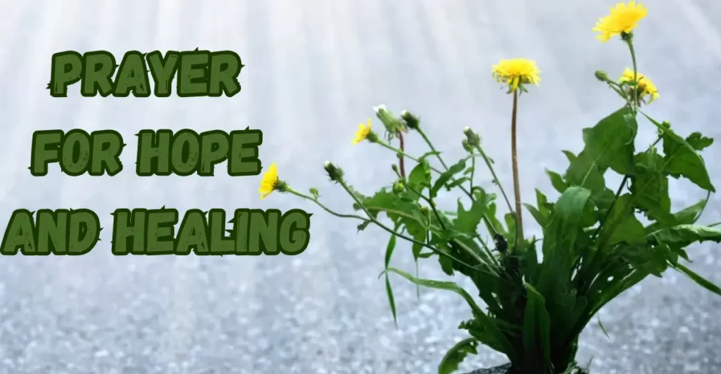 Prayer For Hope And Healing
