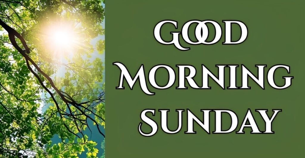 80+ Good Morning Sunday Blessings and Prayers with Images