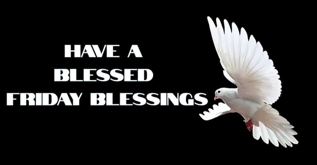 Have a Blessed Friday Blessings